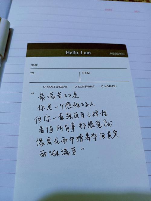 公的浮之手中字最经典的一句,你绝对不能错过的经典产品
