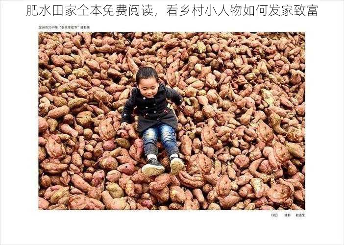 肥水田家全本免费阅读,看乡村小人物如何发家致富
