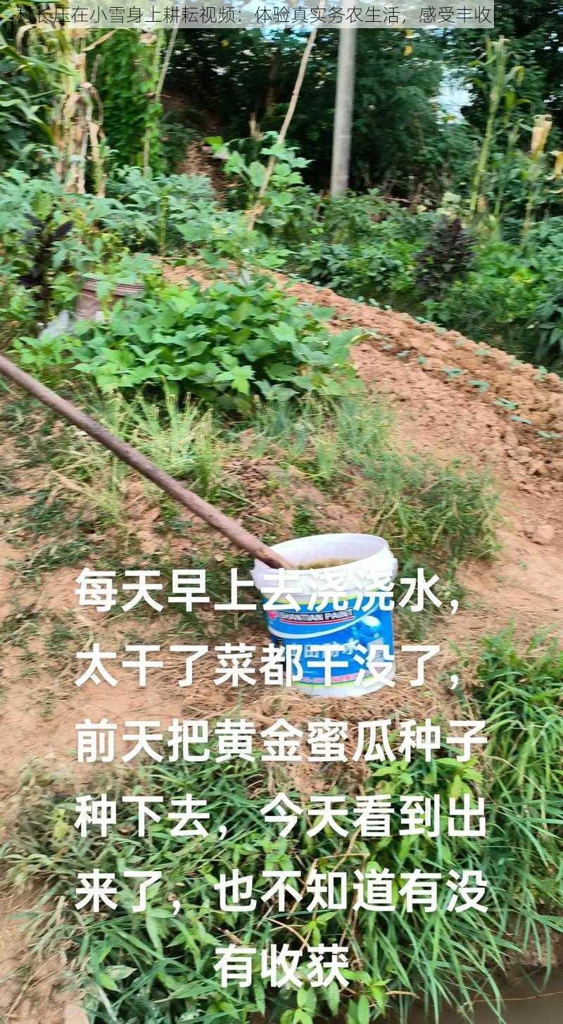 村长压在小雪身上耕耘视频:体验真实务农生活,感受丰收的喜悦