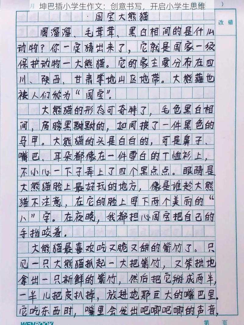 坤巴插小学生作文:创意书写,开启小学生思维