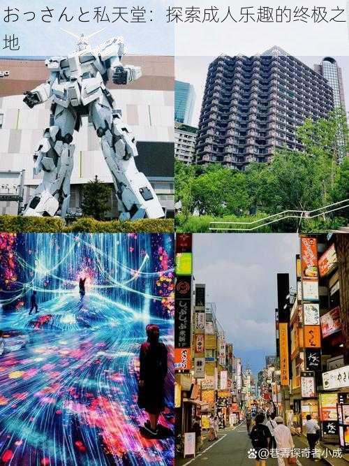 おっさんと私天堂:探索成人乐趣的终极之地